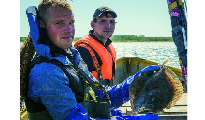 Kad starp apaļajiem jūrasgrunduļiem trāpās arī kāda akmensbute, vasarnieki gatavi maksāt lielum lielo naudu. Foto – Valdis Brauns