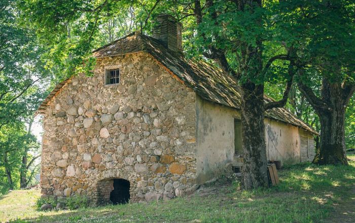 30.VII Saruna par Džemmu Skulmi ar 4. starptautiskā plenēra māksliniekiem Mālpilī