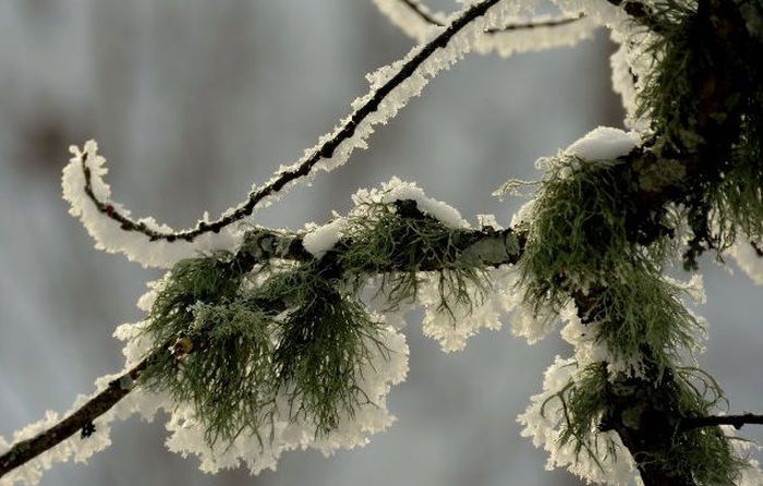 Jaunais gads sāksies ar lietu un sniegputeni