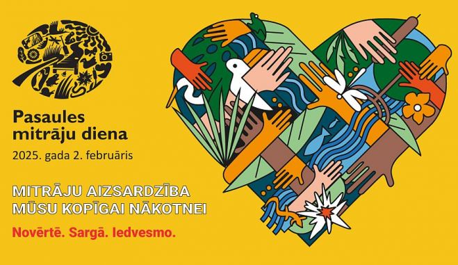 Ilustrācija - DAP