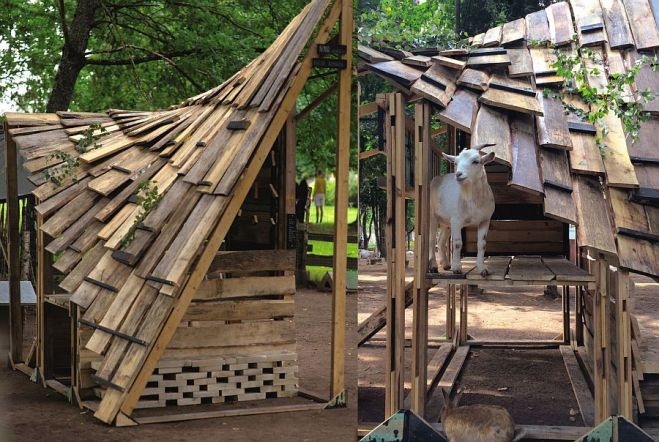 Foto – Ādams Muzikants