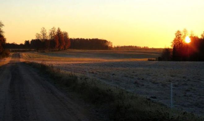 Foto - Vija Vāvere