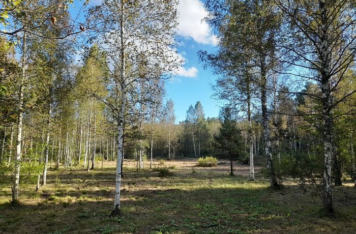 Foto - arhīvs