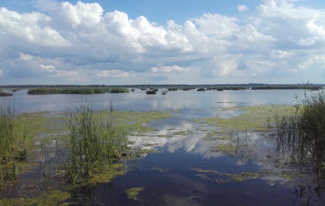 Ezers aiziet mākoņos. Babītes ezera nekontrolētā izlaupīšana un nerūpēšanās par tā ekoloģiju draud izvērsties katastrofā – ūdenstilpe netālā nākotnē var pārvērsties par smakojošu dubļu lāmu. Publicitātes foto