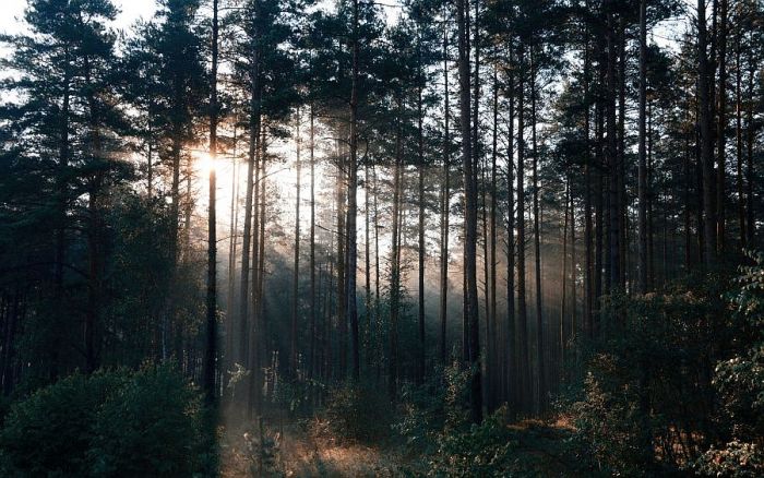 Foto - arhīvs