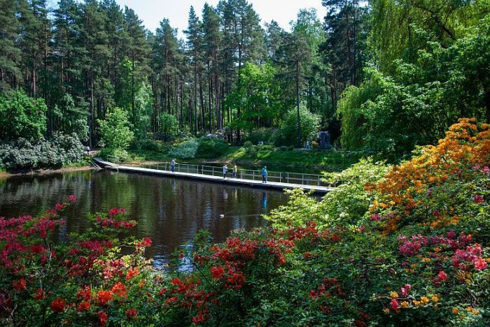 Attēls rakstam: Aicina iepazīt Latvijas skaistākos ziedošos dārzus, tostarp Salaspilī, Lēdurgā un Babītē