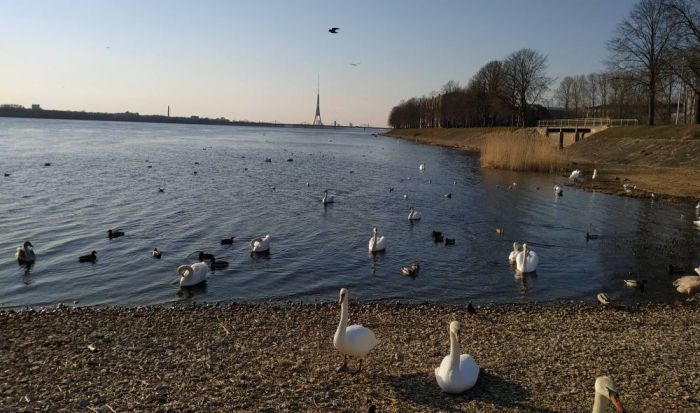 Foto - arhīvs