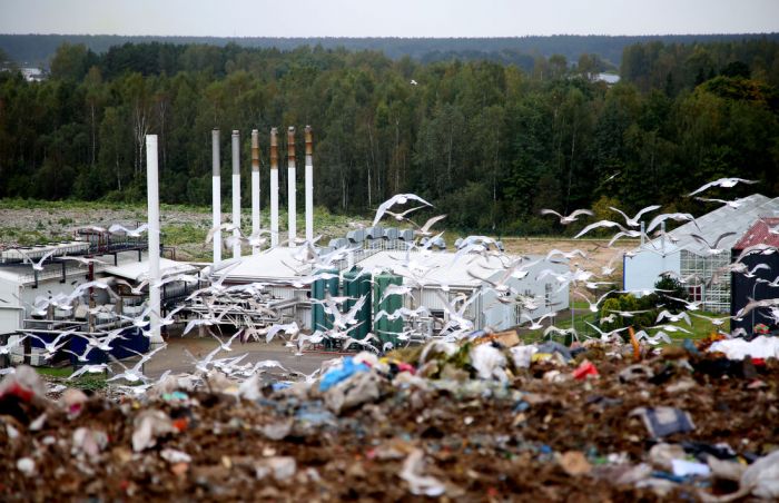 Foto - Nora Krevņeva, riga.lv