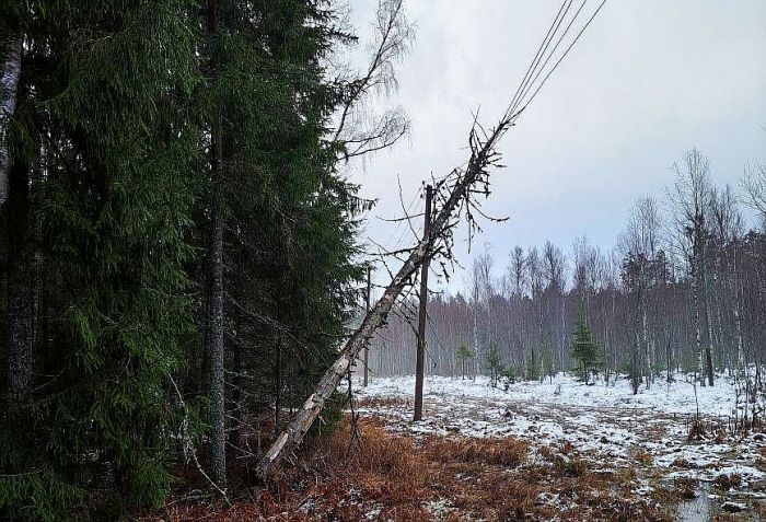Foto - arhīvs