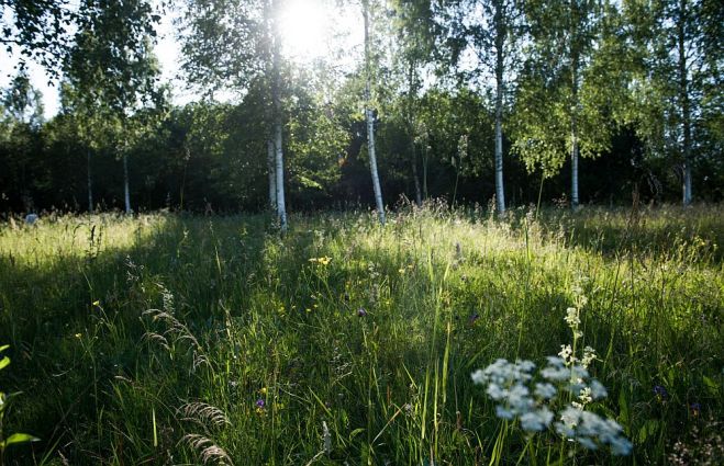 Foto - Latvijas Dabas fonds