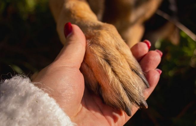 Foto - Ilze Kundziņa