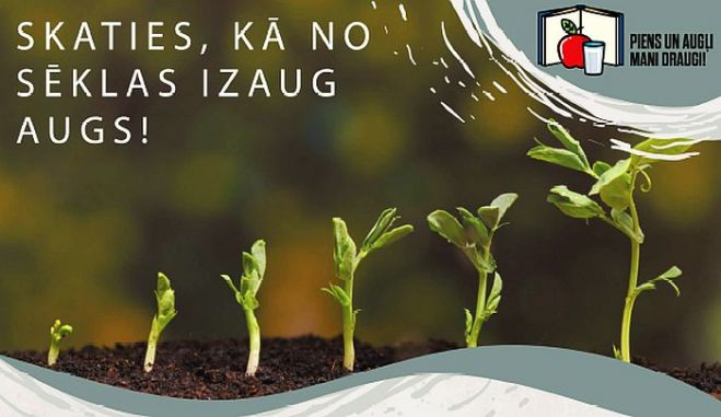 Ilustrācija - piensaugliskolai.lv