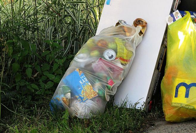 Gandrīz visi atkritumu veidi vienā maisā – metāls, plastmasa, papīrs, pārtika (āboli). Foto – arhīvs