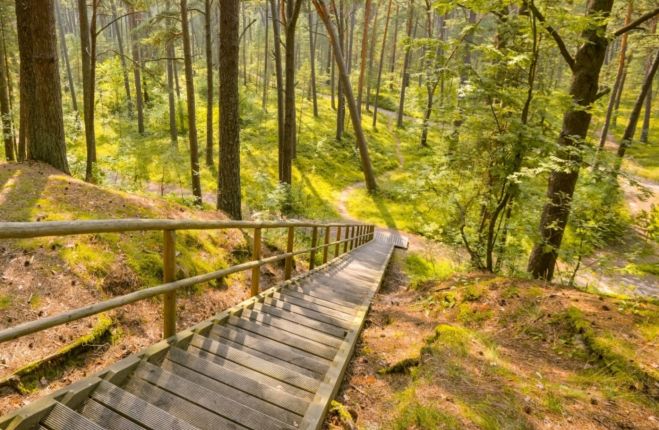 Ragakāpas dabas parkā. Foto: www.visitjurmala.lv