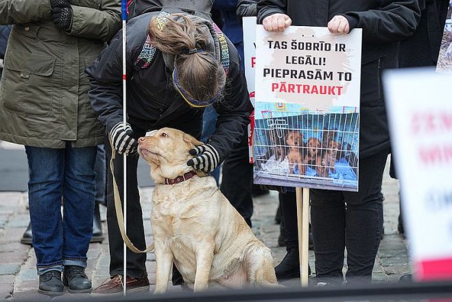 Foto - Reinis Inkēns, Saeima