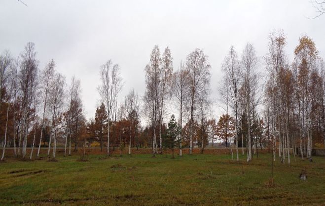Foto - arhīvs
