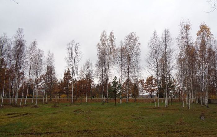 Foto - arhīvs