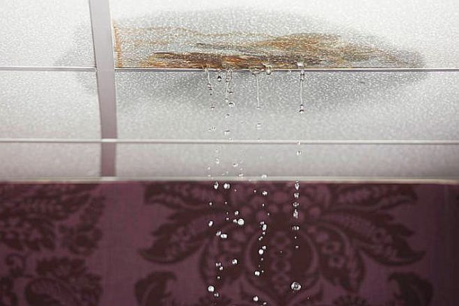 Foto - istockphoto.com