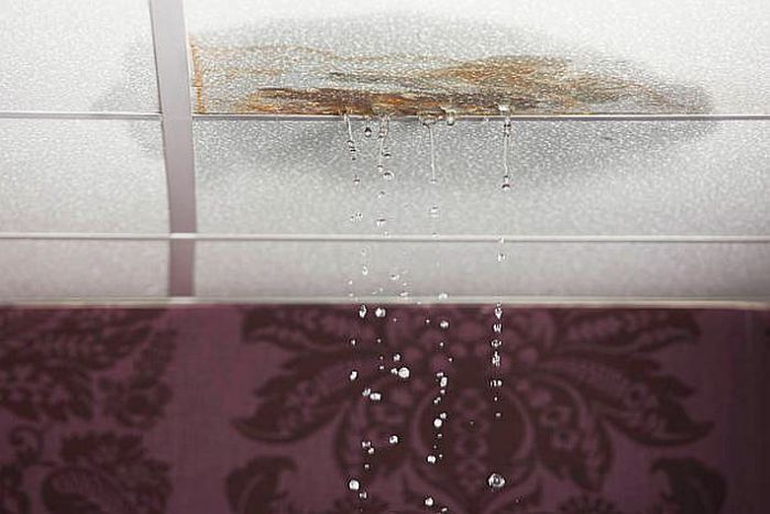 Foto - istockphoto.com