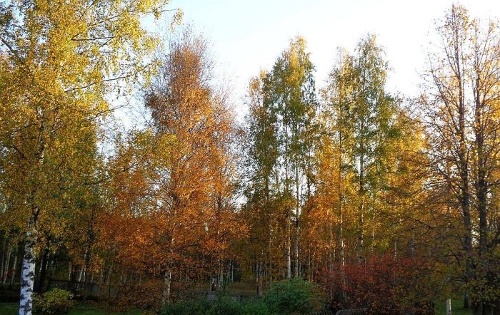 Foto - Ritvars Raits un arhīvs