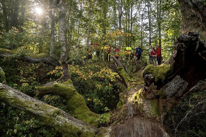 Foto - Helēna Pāvela