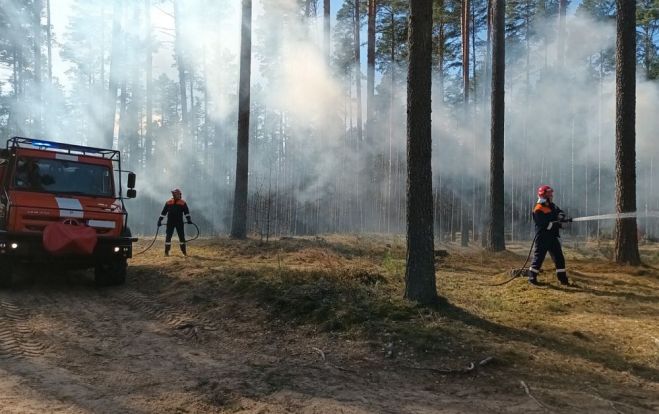 Foto - VMD