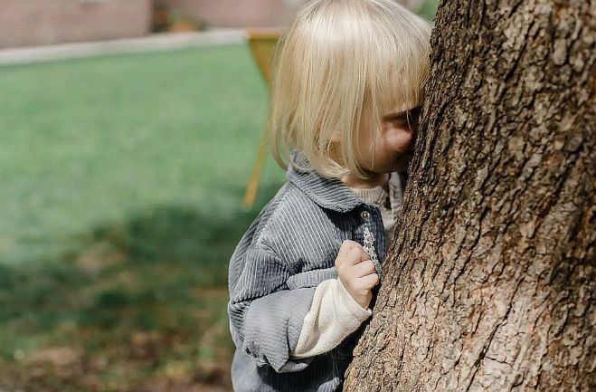 Foto – no kaktinsh.wordpress.com