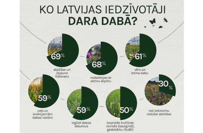 Ilustrācija - DAP