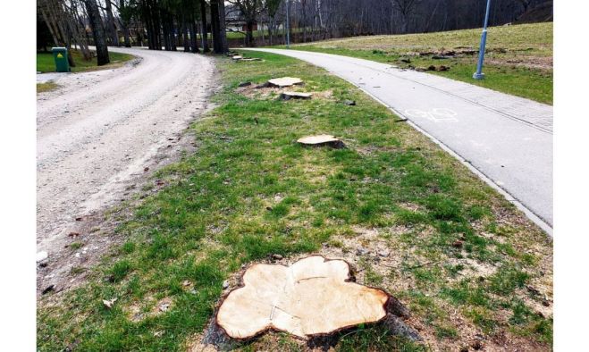 Foto – aculiecinieks un no Siguldas novada pašvaldības arhīva