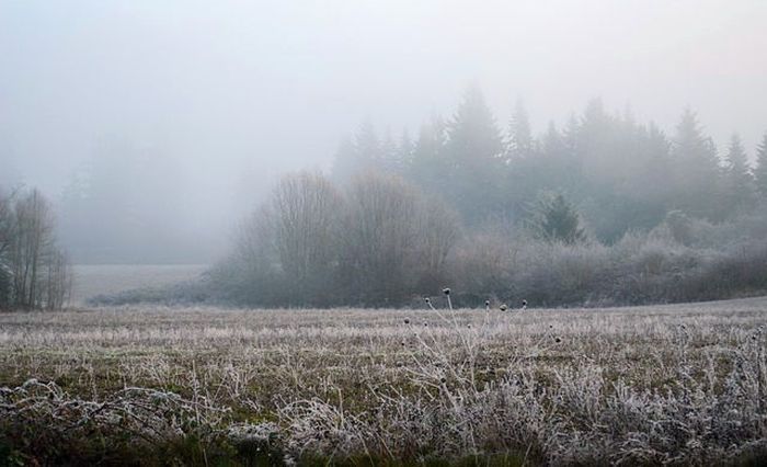 Foto - arhīvs