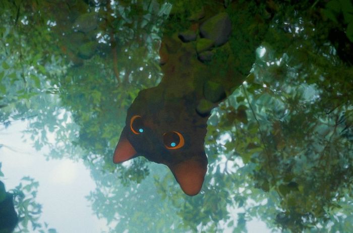 Ilustrācija - publicitātes