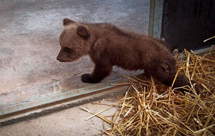 Foto - Dabas aizsardzības pārvalde