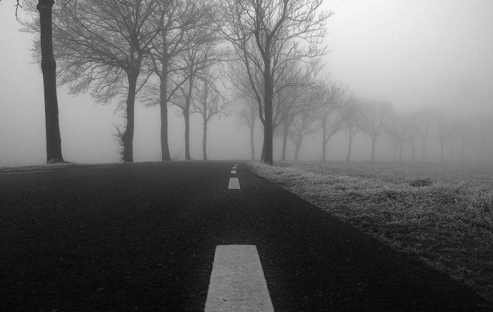 Foto - Liene Ozola un pixabay.com