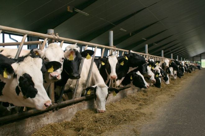 "Siguldas CMAS" apgrozījums deviņos mēnešos sarucis par 1%
