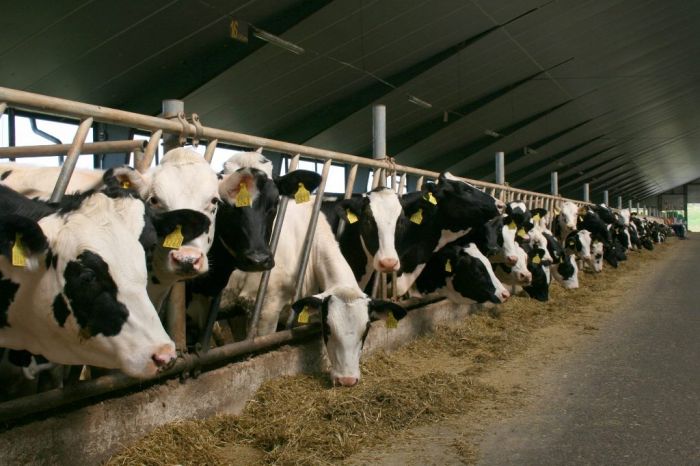 "Siguldas CMAS" apgrozījums deviņos mēnešos sarucis par 1%