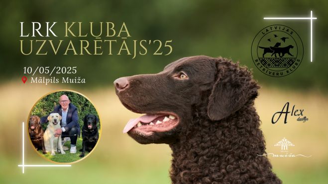 10.V Retrīveru specializētā izstāde "Kluba uzvarētājs 2025" Mālpils muižā