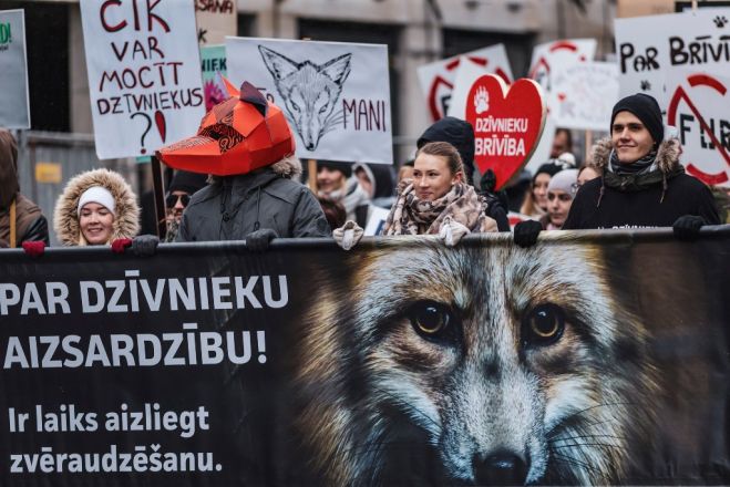 Publicitātes foto