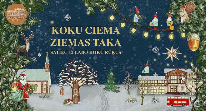 12.XII Koku ciema ziemas taka Babītes pagastā