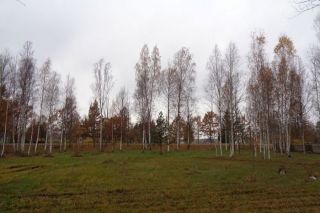 Jaunās nedēļas sākumā Latvijā sāks ieplūst aukstāka gaisa masa no ziemeļiem