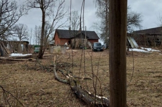 Glābēji saņēmuši 41 izsaukumu uz stiprā vēja radīto postījumu vietām