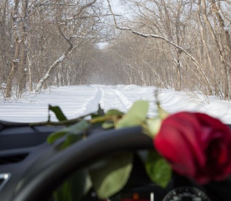 Voldemārs Lauciņš: Mana Valentīndienas vēstule