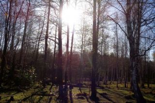 Brīvdienās gaidāms lielākoties saulains laiks