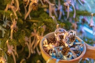 Jūrmalas Dzimtsarakstu nodaļā šogad reģistrēti vairāk nekā 400 jaundzimušo