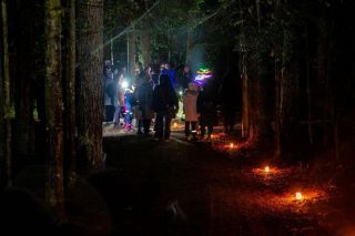 Līgatnes dabas takas aicina uz Valentīndienas pārgājieniem "Satiec zvērus tumsā"