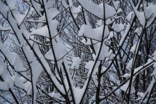 Arī brīvdienās palaikam snigs un putinās