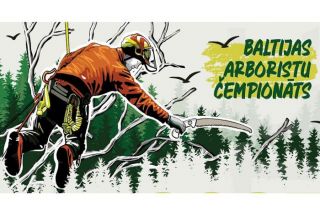 Carnikavā norisināsies Baltijas arboristu čempionāts