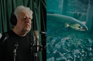 Sociālajā kampaņā "Ja vien ūdeņi spētu runāt" Latvijas slavenības ierunā zivju balsis