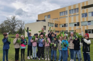 Inčukalnā, Mālpilī, Raganā un Siguldā īsteno stādu audzēšanas projektu "Skolas dobes 2025"