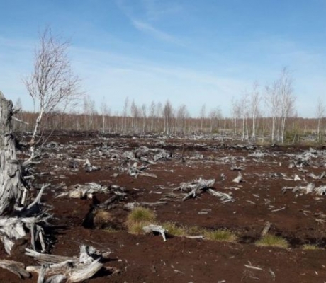 Ekosistēmu stabilitāte ir tieši atkarīga no klimata