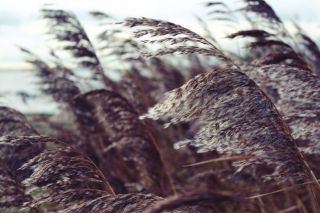 Gaidāma vējaina nedēļas nogale